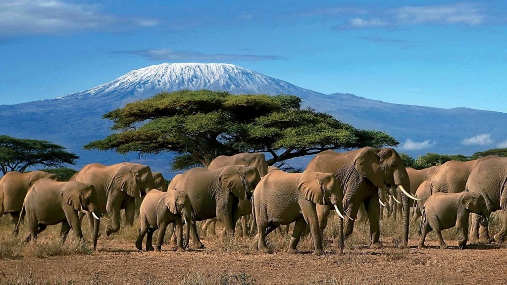 tanzania