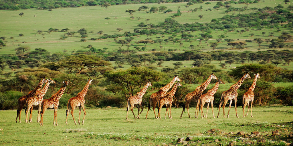 tanzania