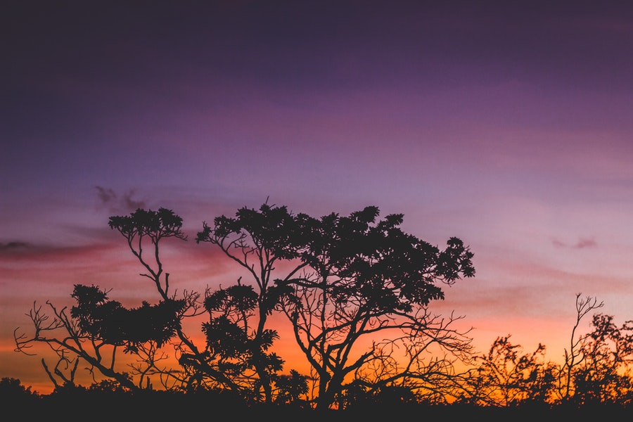 The 7 Top Travel Tips For First Timer To Tanzania